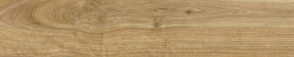 ITHACA - Image 5